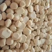 کشک قارا شیر گاو دوغ محلی (اندیکا)|خوردنی و آشامیدنی|اندیکا, |دیوار