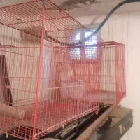 فروش 2عدد قفس پرنده