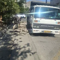 کاویان برزیلی