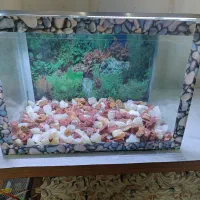 آکواریوم با شن