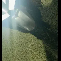 کلیک 150|موتورسیکلت|بندرعباس, |دیوار