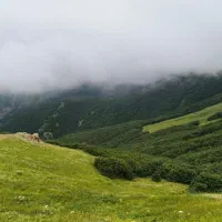 تور تفریحی و گردشی