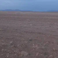 4هزار متر زمین کشاورزی فروشی|فروش زمین و ملک کلنگی|بیضا, |دیوار