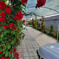 باغ ویلا مسکونی|فروش خانه و ویلا|مشهد, ابرغن|دیوار