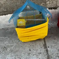 قفس|لوازم جانبی حیوانات|مشکین‌دشت, |دیوار