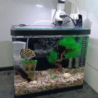 آکواریوم با تجهیزات و ماهی و غذا