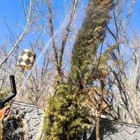 انجام تمامی خدمات باغبانی و فضای سبز ومحوطه|خدمات باغبانی و درختکاری|شیراز, شهرک گلستان|دیوار