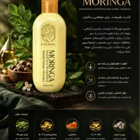 شامپومورینگا(مرکز پخش اصلی /شعبه دیگری نداریم)