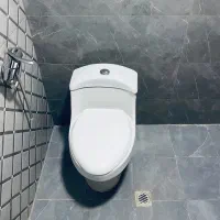 توالت فرنگی و ایرانی
