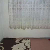 خانه اجاره داده میشود|اجارهٔ خانه و ویلا|ملارد, |دیوار