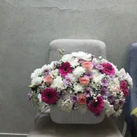 گل تازه طبیعی همین امروز