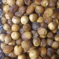 رطب برحی