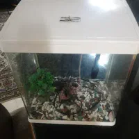 آکواریوم دلسا k390