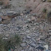 مدارک گمشده بنام لیموچی