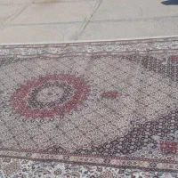 فروش فرش دست بافت|فرش|زهان, |دیوار