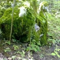 نیرو بالا رو اسکلت میخوام