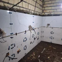 استا کاشی وسرامیک