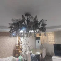 لوسر ۱۶ شاخه