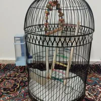 قفس پرنده با امکانات کامل