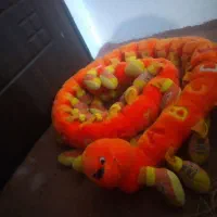 عروسک هزار پایی|اسباب‌بازی بچه|بندرعباس, |دیوار