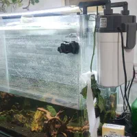 اکواریوم حرفه ای