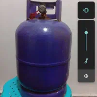 پیک نیک