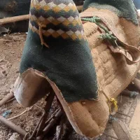 پالان اسب