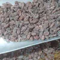 کشمش آفتابی ارگانیگ|خوردنی و آشامیدنی|تاکستان, |دیوار