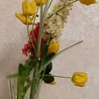 مدارک پیدا شده به اسم خانوم انیس شرفی