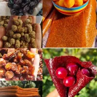 لواشک و میوه خشک ارگانیک و بادام درختی|خوردنی و آشامیدنی|اهواز, بهارستان|دیوار