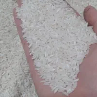 برنج هاشمی|خوردنی و آشامیدنی|رشت, حمیدیان|دیوار