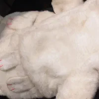 دسنکش دخترانه