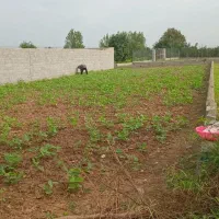 زمین-دارای-پروانه-ساختمان-دو-نبش