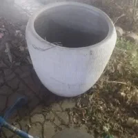 گلدون
