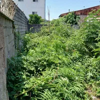 فروش  یا مشارکت برای ساخت یک قطعه زمین ۱۰۳ متری|فروش زمین و ملک کلنگی|رشت, کوی جام جم|دیوار