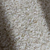 تخفیف باور نکردنی برنج چمپه کامفیروزی|خوردنی و آشامیدنی|کامفیروز, |دیوار