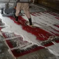 قالیشویی بیست