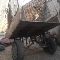 بودی