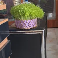 نگهبان پارکینک شیفت شب
