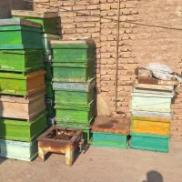 لوازم زنبور داری