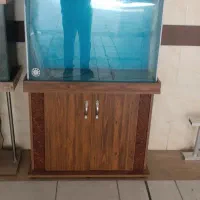 دو عدد آکواریوم خیلی سالم فروش بعلت جابجایی