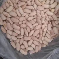 لوبیا سفید ، کشاورزی|عمده‌فروشی|قیدار, |دیوار