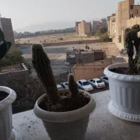 فروش