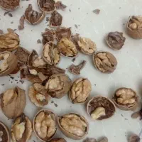 گردو باپوست تویسرکان پوست کاغذی