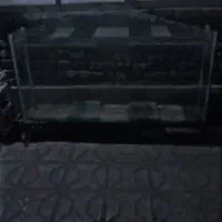 آکواریوم تاج دار