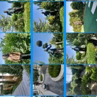 کاشت درخت وهرس درخت فنس کشی باغ