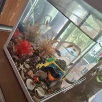 آکواریوم سالم به همراه تمام لوازم|ماهی|تهران, توحید|دیوار