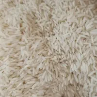 برنج صدری دمسیاه