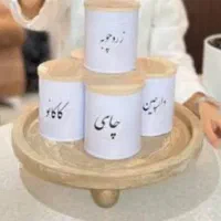 قوطی