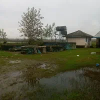 زمین/ ۳۷ هکتار/ سند تک برگ/ صومعه سرا